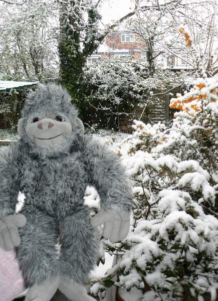 Yeti enjoys some early April snow showers.