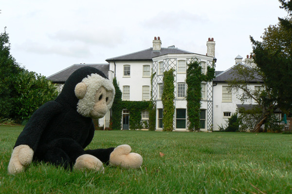 Mooch monkey sits on the grass behind Down House where Charles Darwin lived.