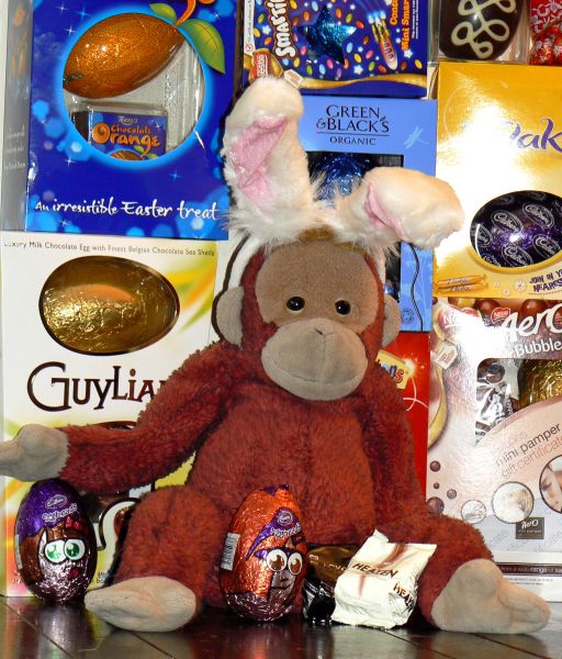Big Mama, our orangutan matriach, in her bunny ears with all of her Easter eggs.
