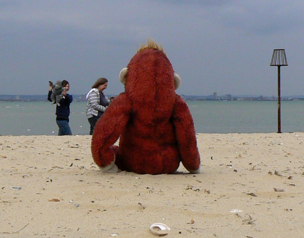 Big Mama Schweetheart sits on the beach at Ryde as Annie and Yeti walk past.