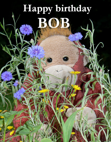 Big Mama says Happy Birthday to Grandad Bob while surrounded by wild flowers