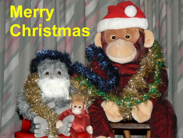 Yeti with a beard, a small Schweetheart and Big Brother Scheetheart (our biggest orangutan) with hat. All wrapped in tinsel to wish you a Merry Christmas