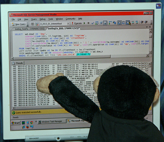 Mina Mooch monkey checks her SQl to create web page statistics