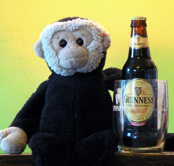 Mooch monkey with his Guiness, ready for St Patricks day.