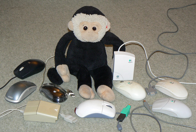 Mooch monkey surrounded my computer mice.