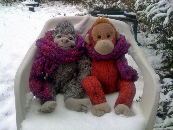 Yeti & Big Mama Schweetheart, our orangutan matriach, share a scarf in the January snow.