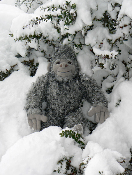 Yeti sits in the snow.