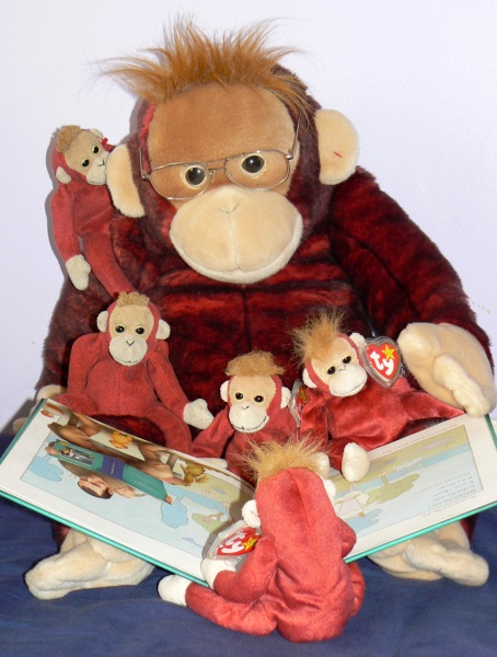 Big Brother Schweetheart, our orangutan with librarian tendencies, reading Terry Pratchett's 'Where's My Cow' to his nephews and nieces!