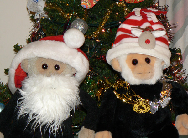 Mooch and Mina monkey ready for christmas 2008.