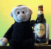 Mooch with a Guiness for St Patricks Day 2008.