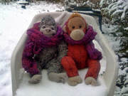 Yeti & Big Mama Schweetheart share a scarf in the January snow.