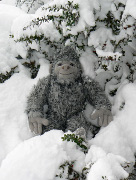 Yeti in the snow, February 2009.