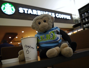 Mooch gets a coffee at Starbucks