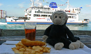Mooch monkey watches ferries at Portsmouth