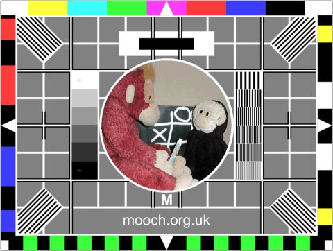 Static Mooch TV Test Card M - with naughts and crosses played by Big Mama and Mooch monkey