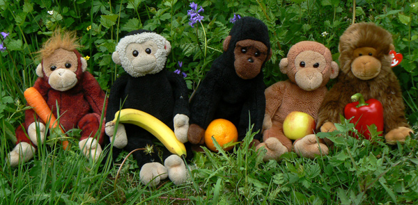 Mooch monkey with other coalition party leaders.