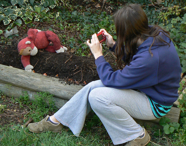 Big Mama Schweetheart being photographed whilst planting tulip bulbs.