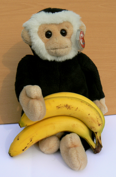 Mina mooch monkey with bananas.