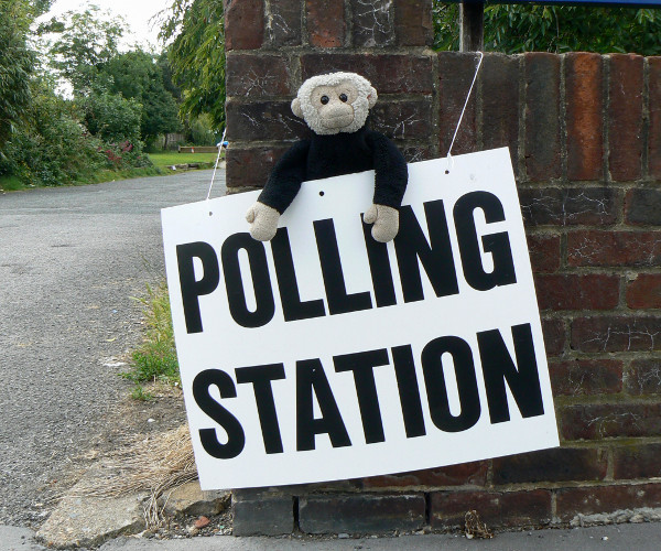 Mooch monkey outside an election polling station.