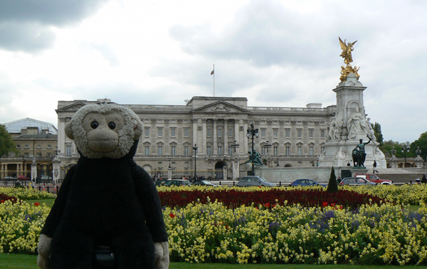 Mooch monkey outside Buckingham Palace.