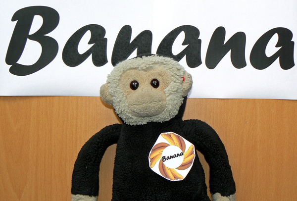 Mooch monkey with his Banana Party rosette and banner.