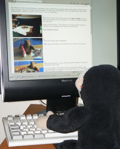 Mooch visits Mr Monkey's web site