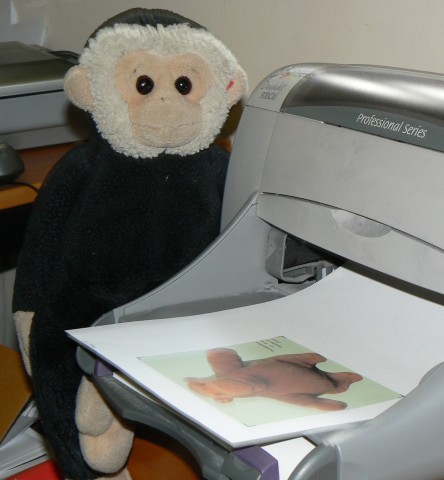 Mooch prints his faux Mr Monkey