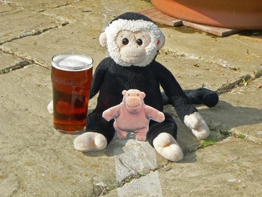 Mooch and Mr Monkey sit on the Meridian Line