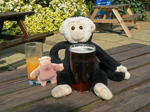 Mooch monkey takes a faux Mr Monkey to the pub