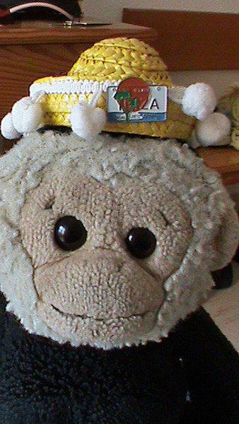 A Mooch monkey wearing a hat and badge from Ibiza.