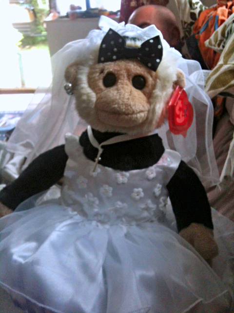 Anna's Mooch monkeys get married.