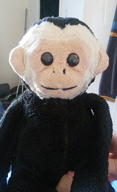Eve's Mooch monkey.