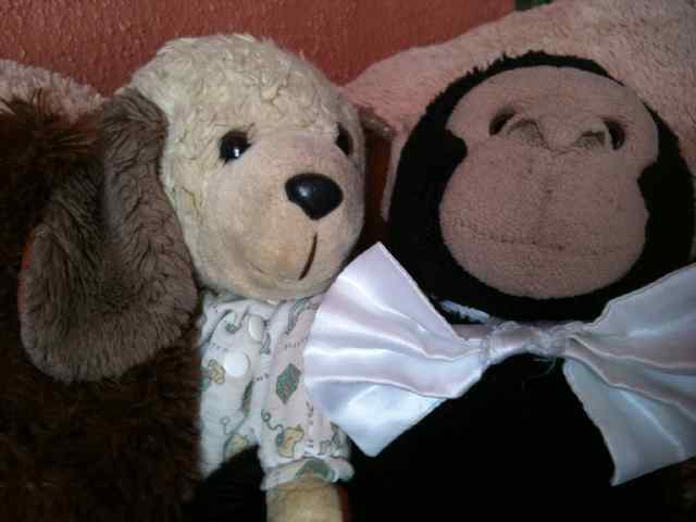 Mooch's best friends Snoozems (dog) and Ben (chimp)