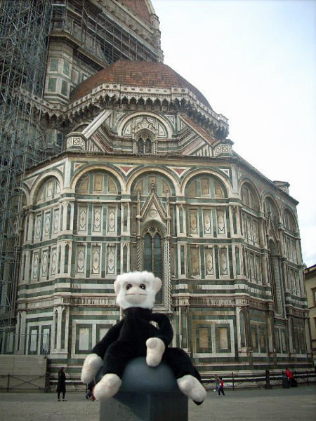 Livia's Mooch monkey in Italy.