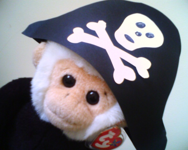 A Mooch monkey in a pirate hat.