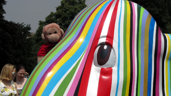 Saturday at the London Elephants in 2010.