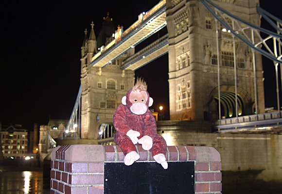 Fred at Tower Bridge.