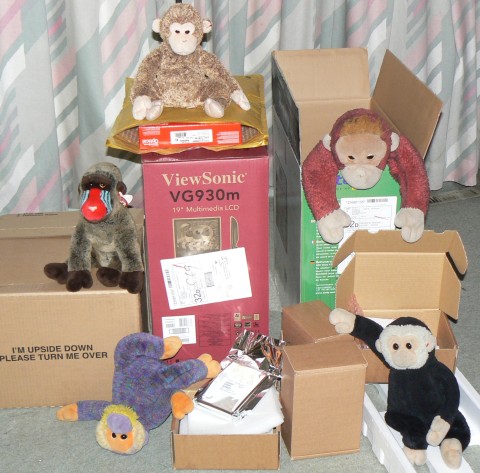 The monkey troop investigate the boxes.