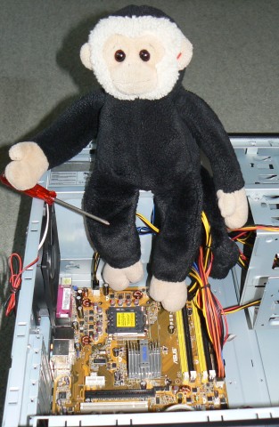 Mooch monkey with screwdriver after installing the motherboard into the case.