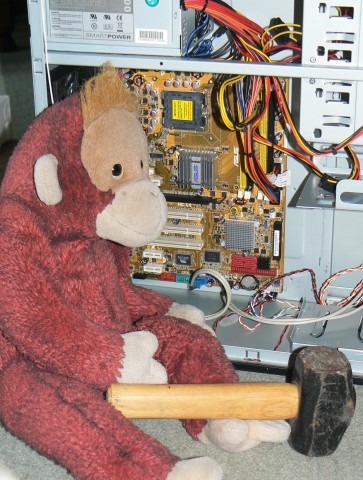 Big Mama Schweetheart orangutan with her big hammer and the PC.