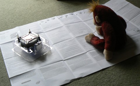 Schweety the Schweetheart orangutan reads the instruction sheet for fitting the CPU.