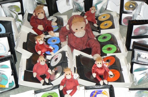 The Schweetheart orangutan family surrounded by cases full of software CDs.