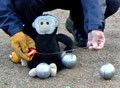 Mooch plays petanque in the park