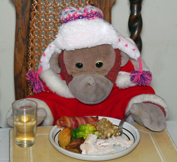 Big Mama Schweetheart Orangutan with her Christmas dinner 2012