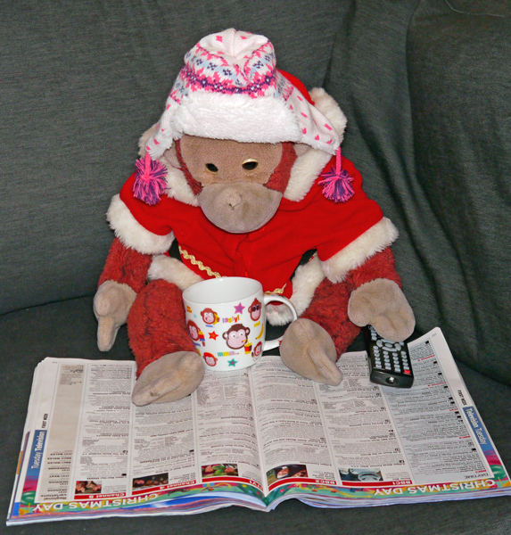 Big Mama Schweetheart Orangutan looks into the Christmas Radio Times