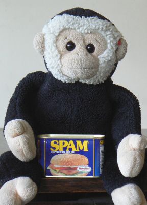 Mooch monkey with a can of Spam