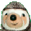 The Adventures of Slowpoke the Sloth