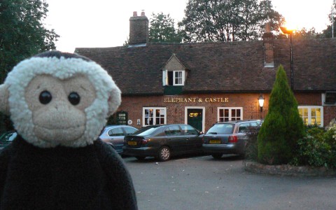 Mooch monkey outside the Elephant & Castle, Amwell, Wheathampstead.