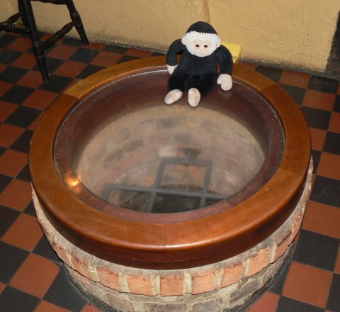 Mooch monkey sits on the edge of the well in the bar of the Elephant & Castle, Amwell, Wheathampstead.
