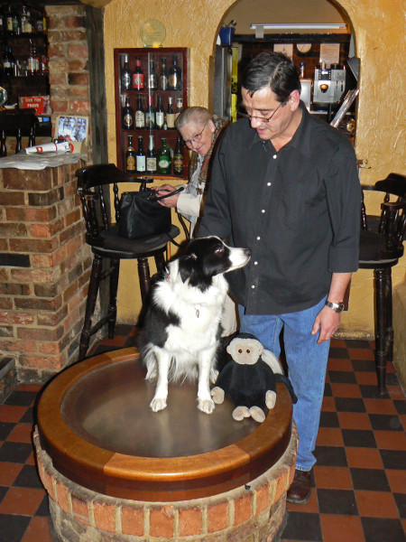 Mooch monkey meets Bess the Collie dog and Bob the landlord at the Elephant & Castle.